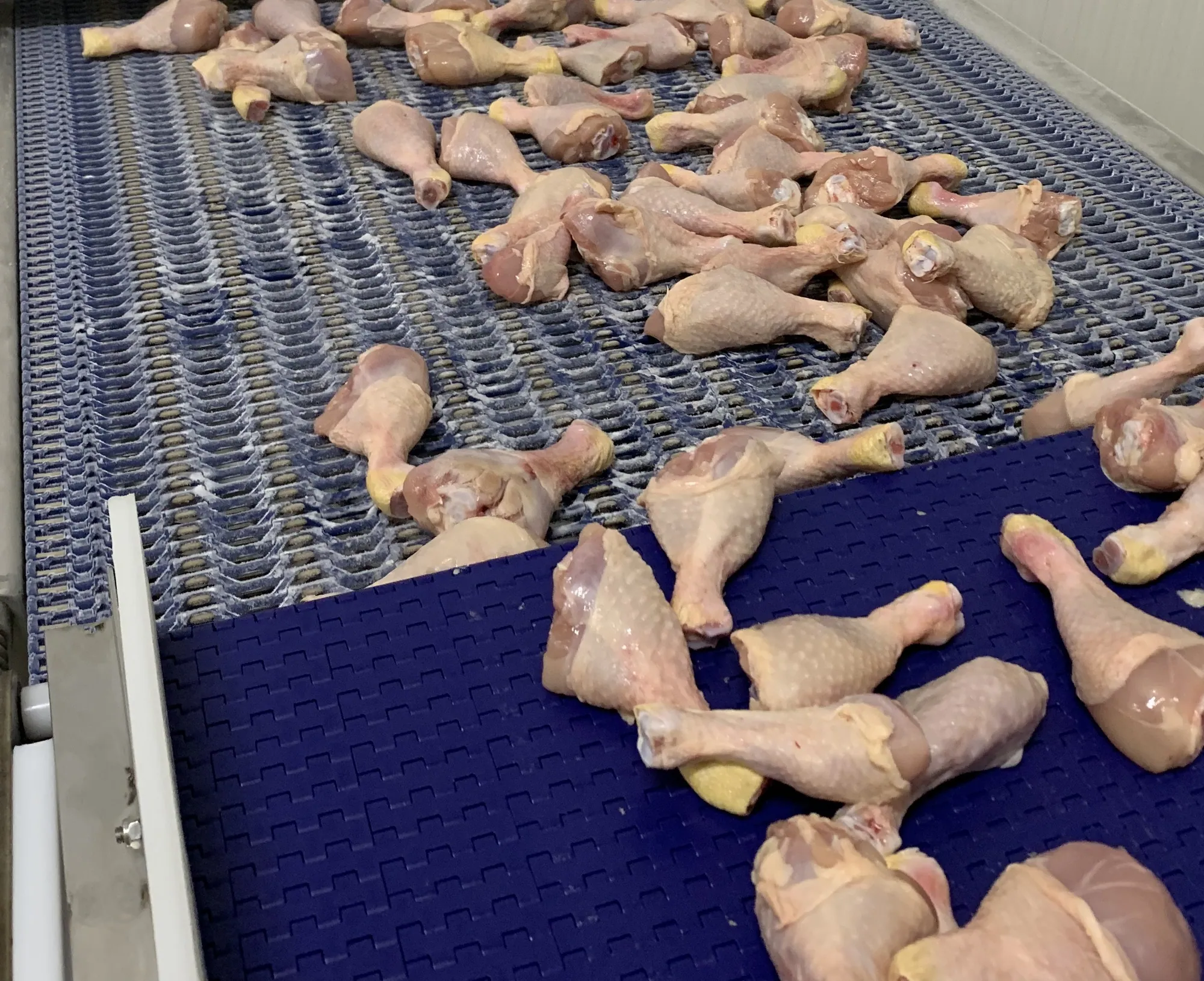 Meat & Poultry