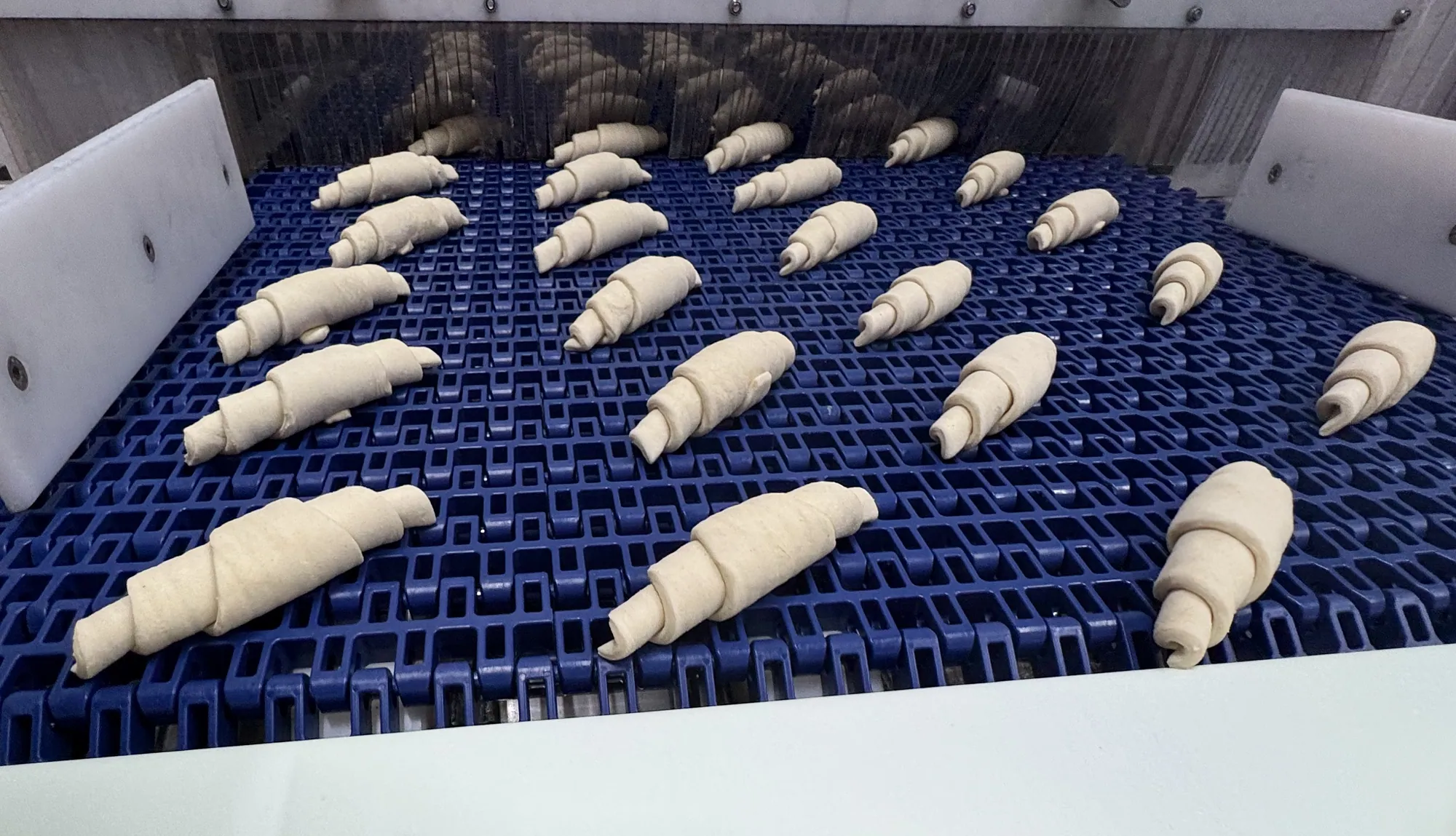 MQF Spiral Proofer