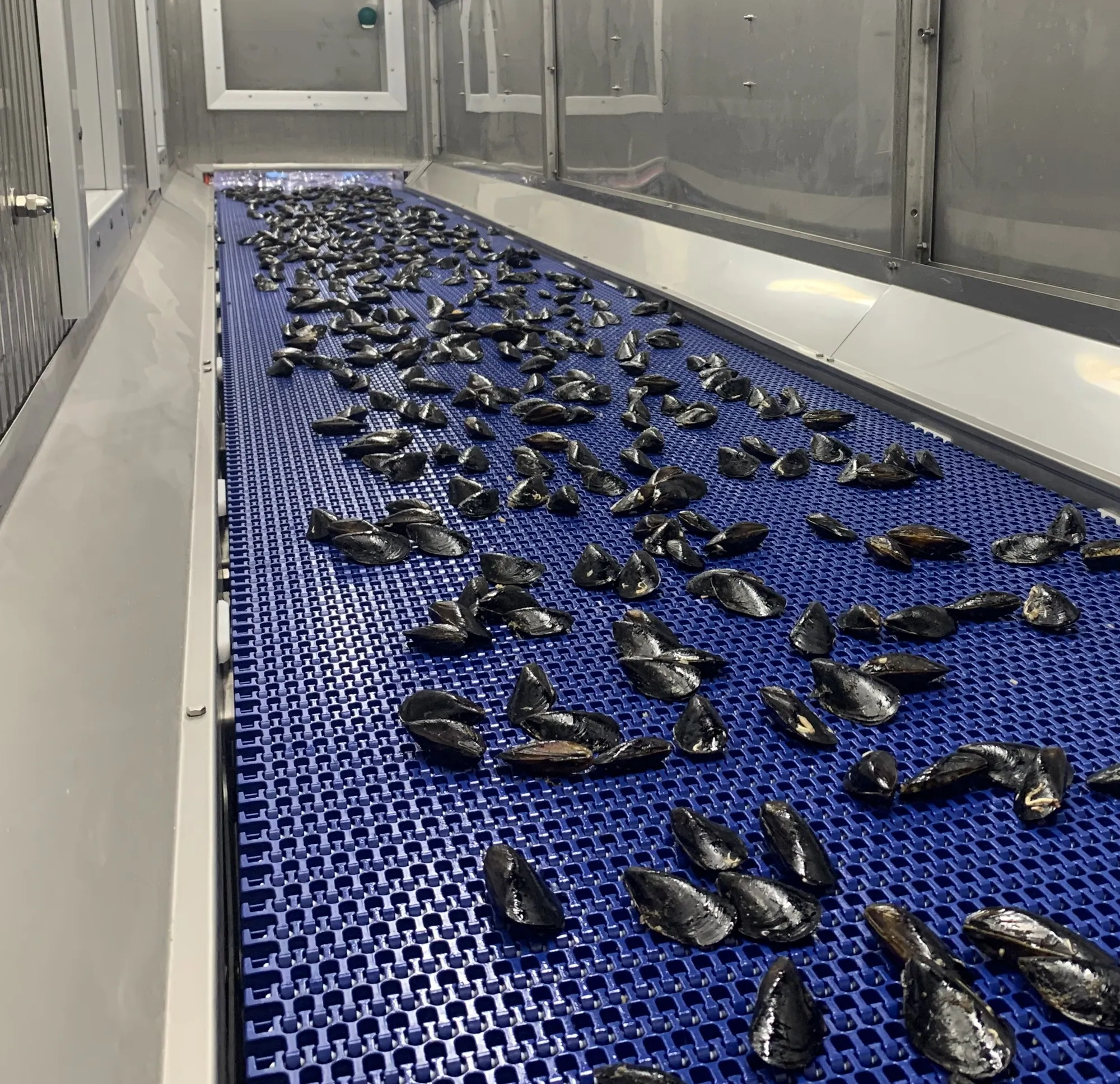 Rapid Freezing & Cooling Tunnels