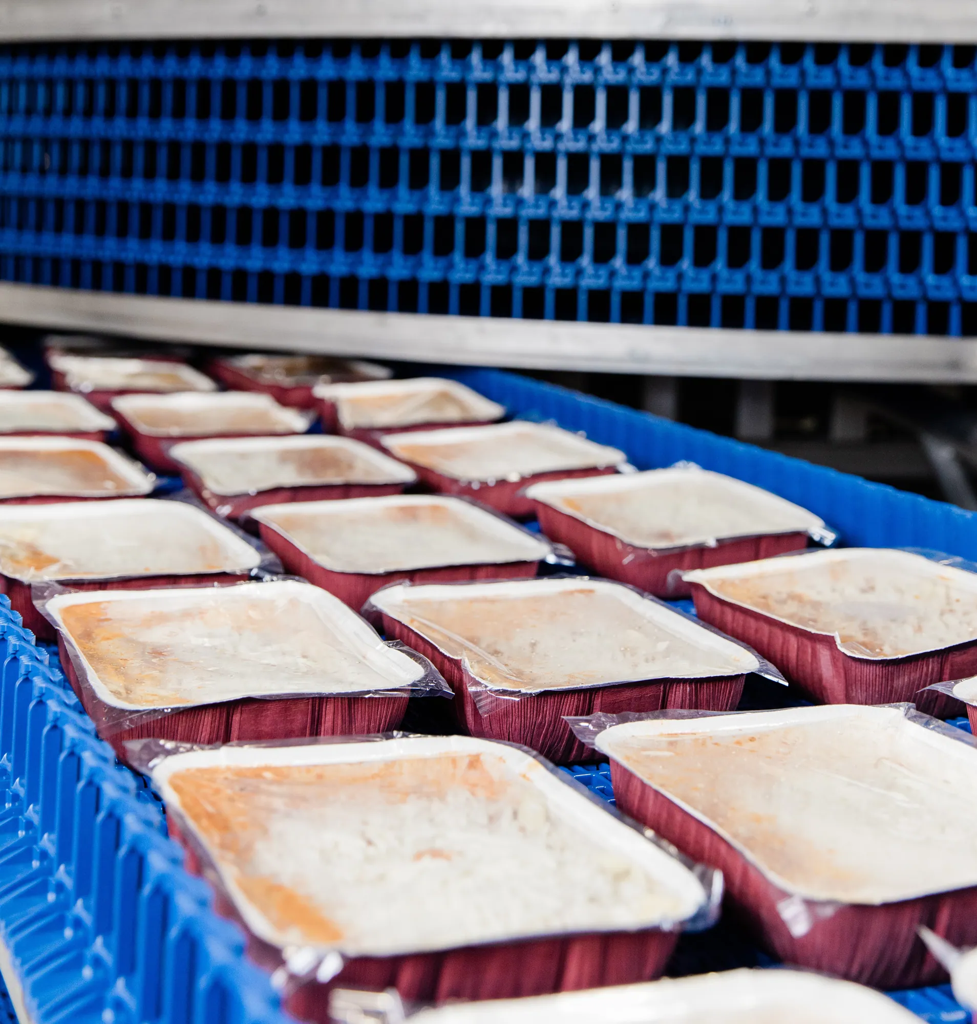 Ready Meals